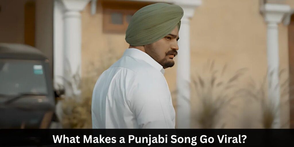 What Makes a Punjabi Song Go Viral?
